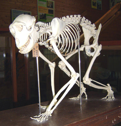 176