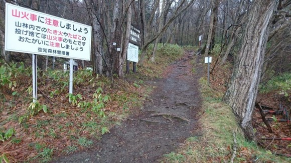 【北海道】「ギョウジャニンニクを採りに行く」64歳男性戻らず、翌朝山林で発見、死亡確認…谷間に転落か