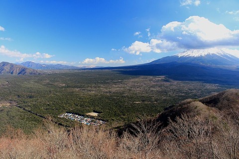 青木ヶ原と富士山