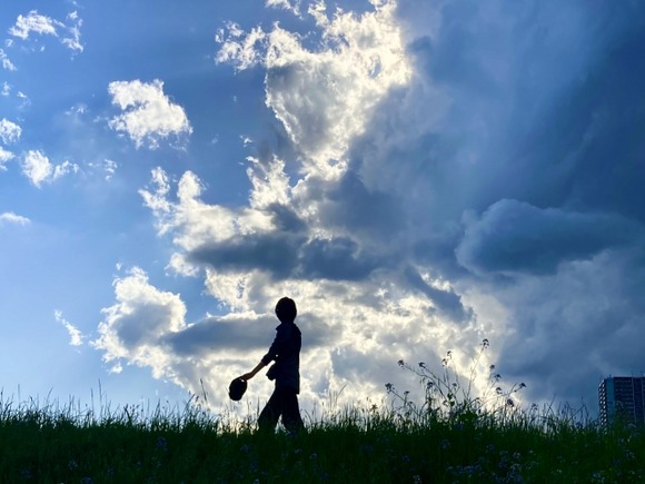 【速報】日本の四季、崩壊へｗｗｗｗｗｗｗｗｗｗｗｗｗ