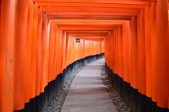 【悲報】京都の伏見稲荷大社が「世界で最悪な観光地」にランクイン