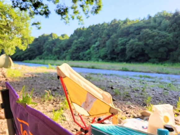 河原はやべえ腫れ方する虫いるから嫌い