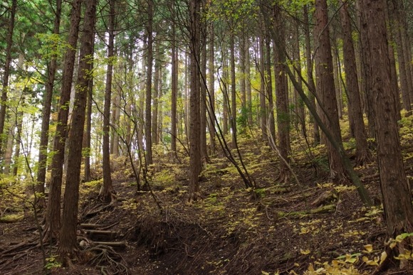 日本、終わる…奥多摩に山賊が出現、老人を遅い金品を強奪