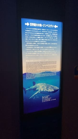 911