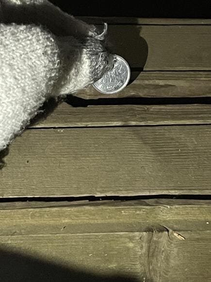 342