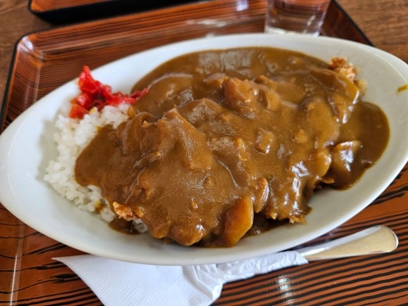 【画像】カツカレーというジャンク風土の頂点