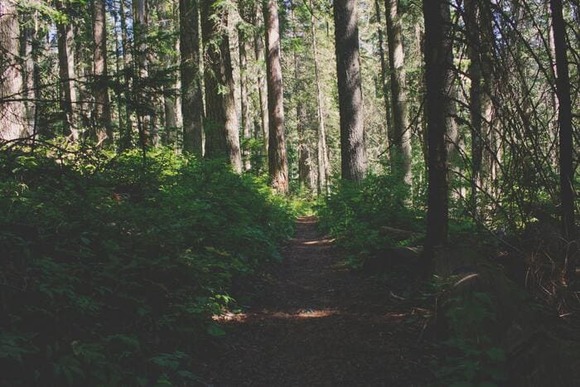 trail
