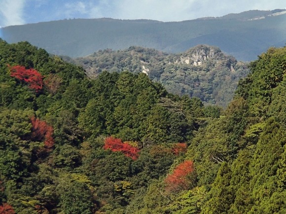 千葉に遭難するような山あるのか・・・