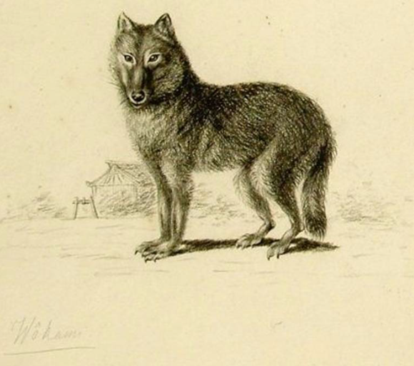 128-2