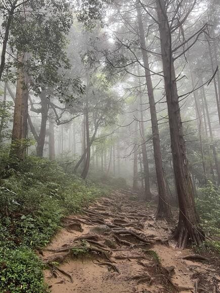 【画像】山用の靴を新調したので願掛け登山してきた！！！
