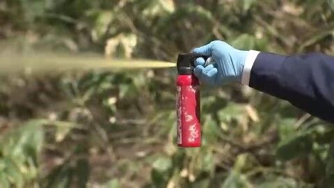 ジョギング中にヒグマに遭遇したら手持ちの熊スプレーを発射しましょう