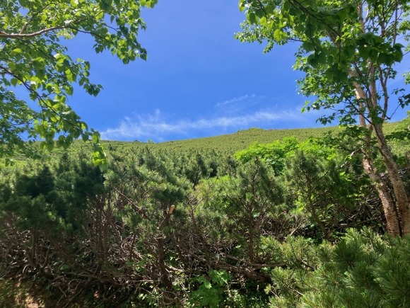 「山で遭難したら、川沿いに下ってってはいけない」←なんでだよ