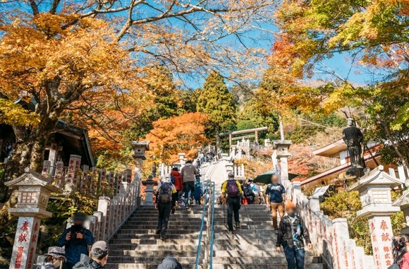 昨日、「大山」って山登山したけど、質問ある？
