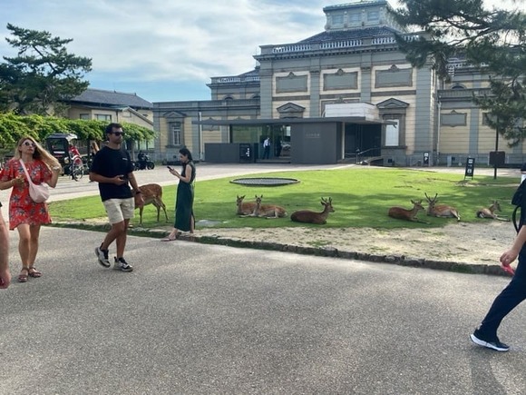 【画像】晴れたから奈良公園に来てる