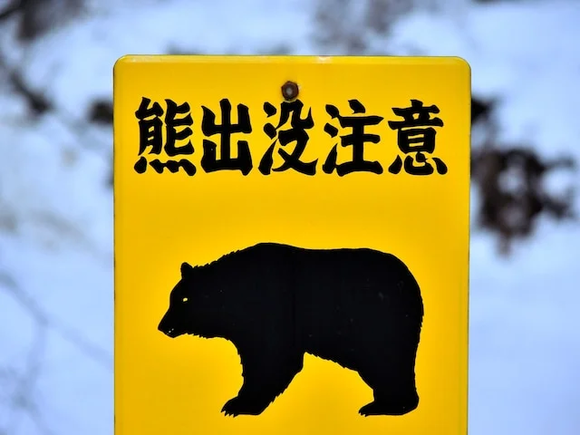 研究者が懸念する、クマよけの鈴の逆効果化…その兆候が2025年の「住宅・倉庫侵入」で見え始めた