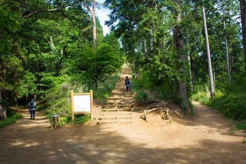 高尾山