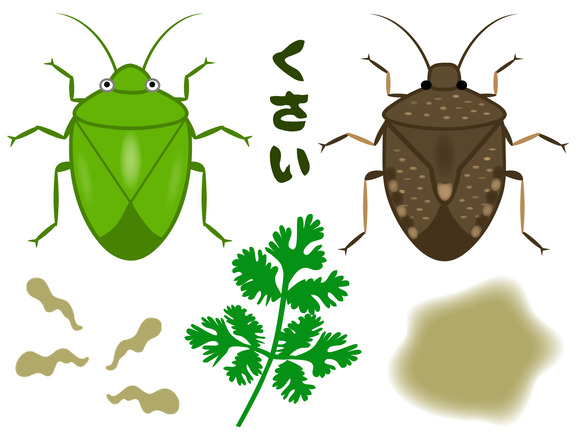 【注意報発令】カメムシ大量発生に悩まされる2023年の日本列島…2mmの隙間から室内に侵入も