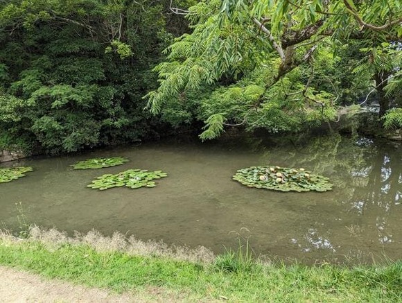561