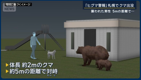 【札幌】公園で子どもを遊ばせるヒグマが激増