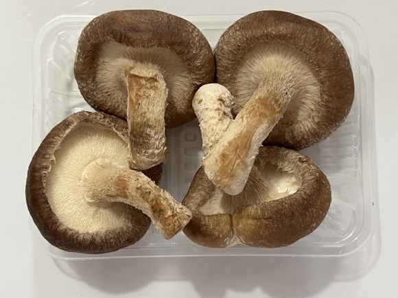 生のキノコ食ったら下痢止まらん・・・