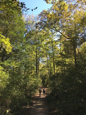 登山者達