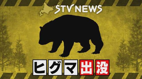 なぜ道民はヒグマに襲われないのか
