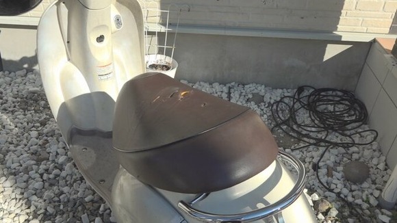 【画像】クマと原付バイクが衝突！手提げ袋に入れた はちみつ味飴が食い荒らされる