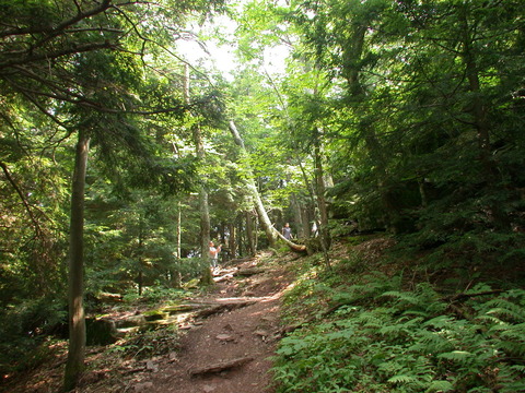 登山道