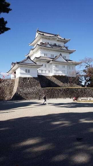 城とかいうハズレ観光スポットｗｗｗｗｗｗｗｗｗｗｗｗ