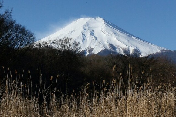 富士山麓に「尿入りペットボトル」ゴロゴロ投棄の大問題　「強烈なアンモニア臭」と清掃ボランティアの苦労