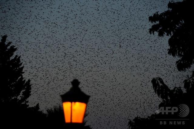 img_177a65e934b5fc6ea32d21e493b3dd55207782