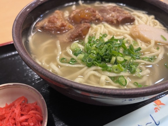 沖縄旅行は楽しい！しかし唯一最大の欠点がある