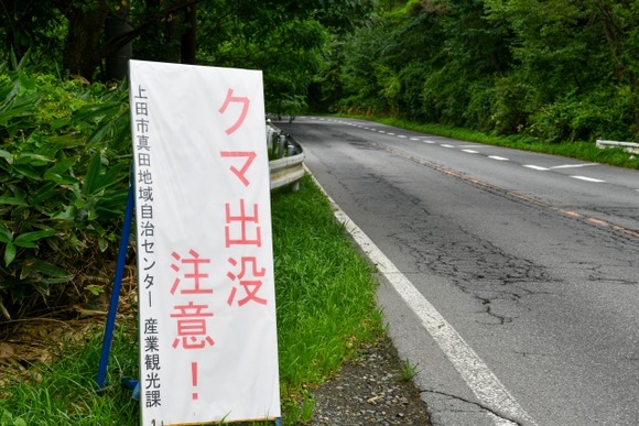 クマと人間の共存は可能？ 奥山放獣では43％は現場に戻り5年で人の怖さを忘れてしまう