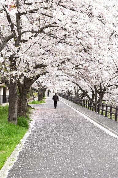 散歩コースをネットで探して行く。楽しいよな