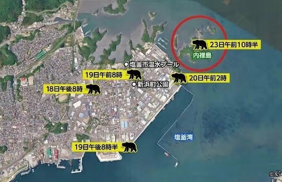 【クマ】泳いで塩釜市の離島に上陸