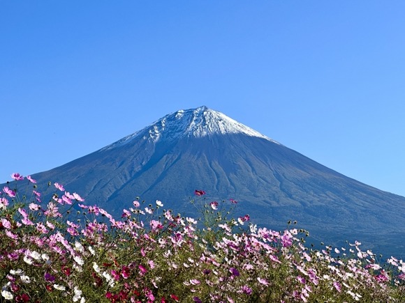「意識失い倒れた」閉山中の富士山で救助要請…ライダースジャケットで登山か