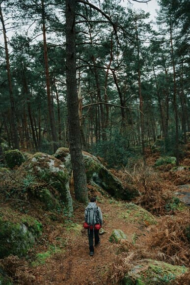 ワイ「AIくん登山でかかる費用教えて」