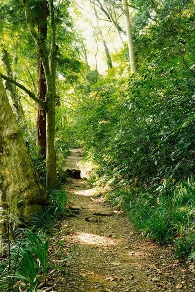 山行って写真撮ったぞｗｗｗｗｗｗｗｗｗｗｗ