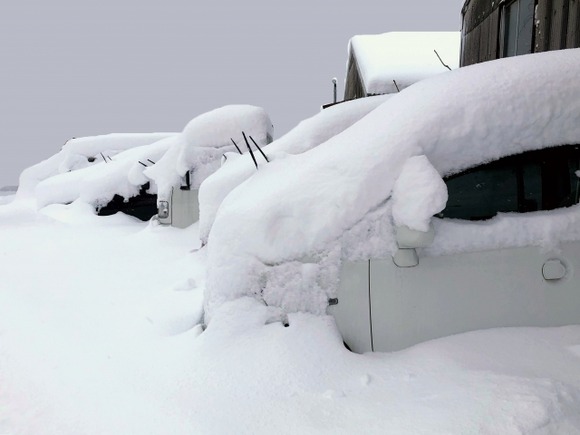 【画像】今年、雪多すぎワロタ