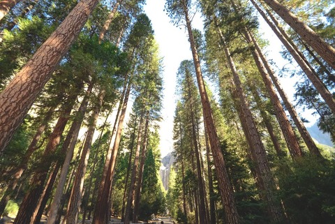 chelsea-bock-3073-unsplash
