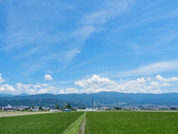 長野県「そばあります、りんごあります、ジンギスカン美味しいです、はちのこ美味しいです」