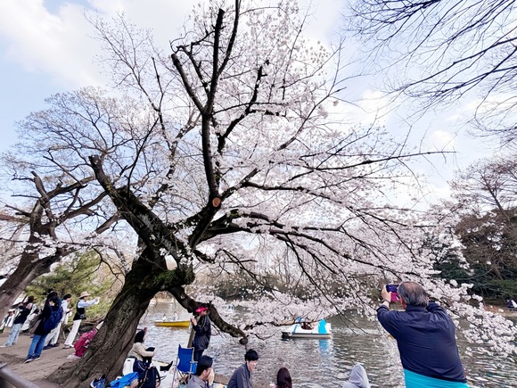 【台湾】日本旅行が特別でなくなったと感じる理由