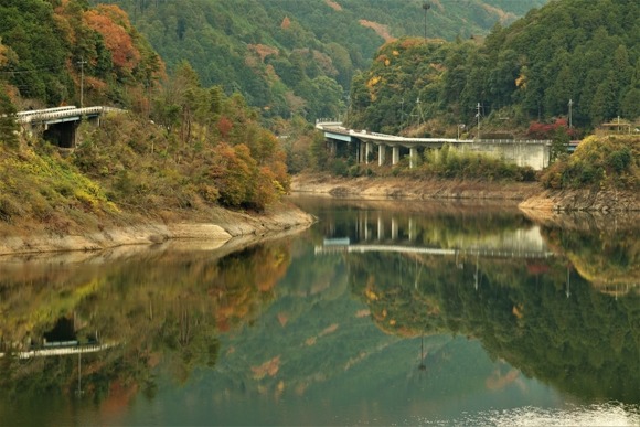 大阪の山奥なんだがこういう所に渓流魚とかいると思う？