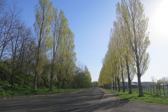 国立大学「山奥にキャンパス作ったら（移転したら）学生にウケるやろなぁ…ｗ」