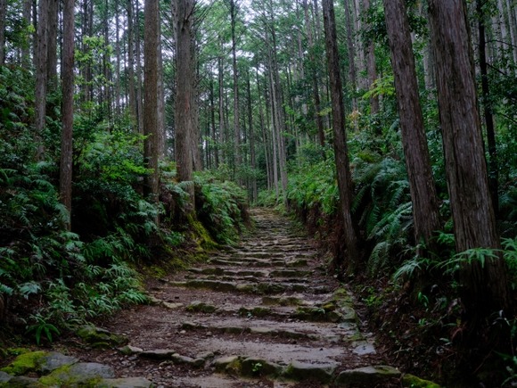 【悲報】熊野古道でアメリカ人女性が行方不明・・・
