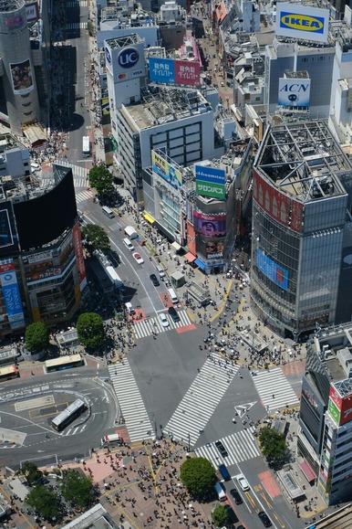 観光立国を謳う日本が世界標準の歩道のゴミ箱を頑なに設置しない→ポイ捨てが急増し深刻化