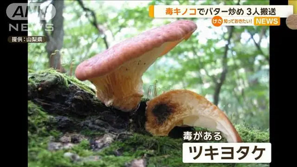 知人から貰ったキノコをバター炒めに → 病院へ搬送