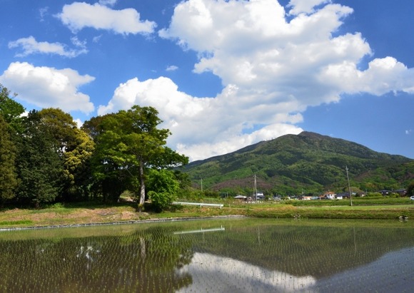 茨城県←海がある、自然がある、納豆がある