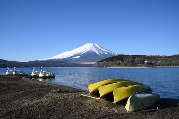 【悲報】ワイ、山中湖湖畔でカモのエサを買ったのにカモが人間の女の方に行き、エサをあげれない