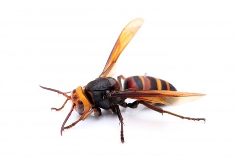 7773bebd2a5d6aabf3ecc597f70dbeb8_s